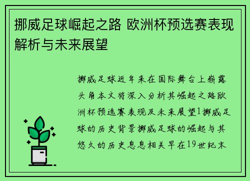 挪威足球崛起之路 欧洲杯预选赛表现解析与未来展望